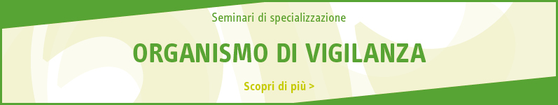 Organismo di vigilanza