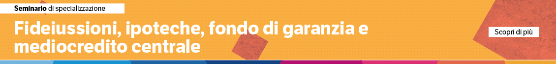 Fideiussioni, ipoteche, fondo di garanzia e mediocredito centrale