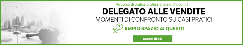 Delegato alle vendite – pratica professionale